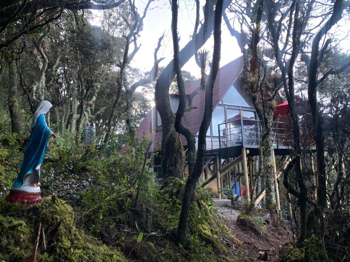 Mirador Bosque Gran Torino Neusa Cogua Bagian luar foto