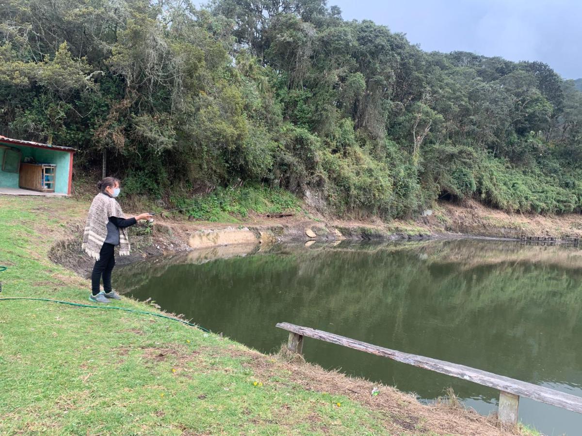 Mirador Bosque Gran Torino Neusa Cogua Bagian luar foto