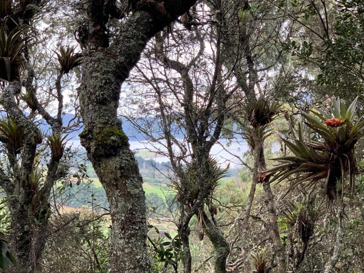 Mirador Bosque Gran Torino Neusa Cogua Bagian luar foto