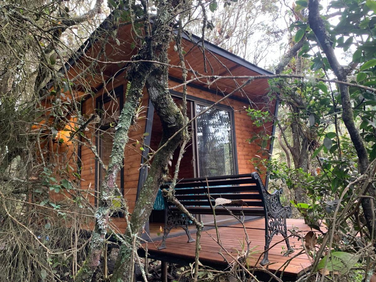 Mirador Bosque Gran Torino Neusa Cogua Bagian luar foto