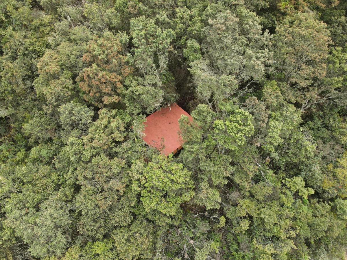 Mirador Bosque Gran Torino Neusa Cogua Bagian luar foto