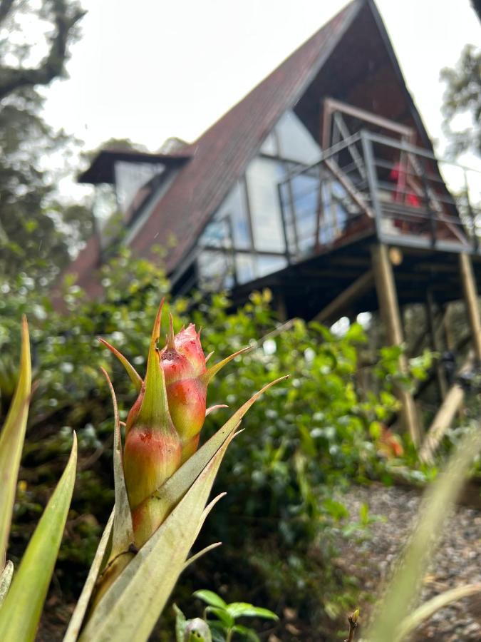 Mirador Bosque Gran Torino Neusa Cogua Bagian luar foto