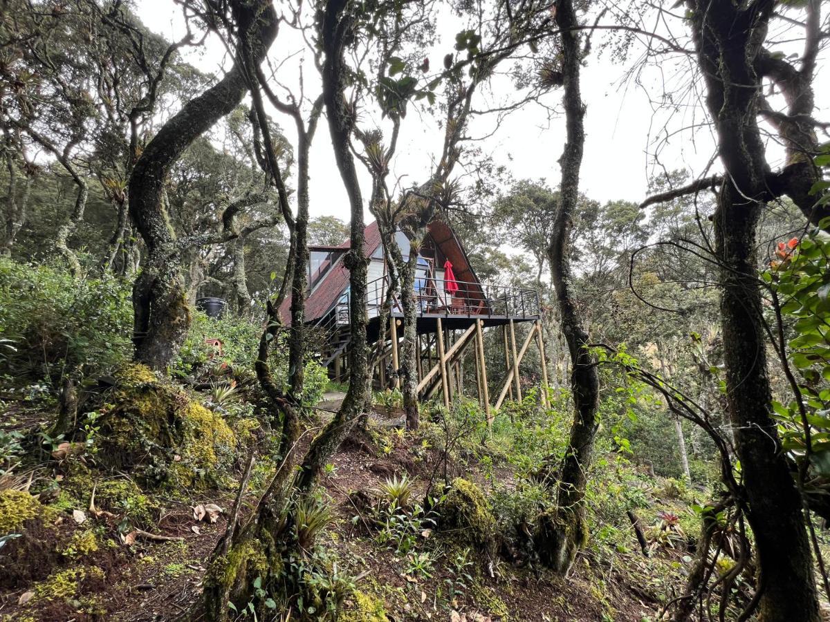 Mirador Bosque Gran Torino Neusa Cogua Bagian luar foto