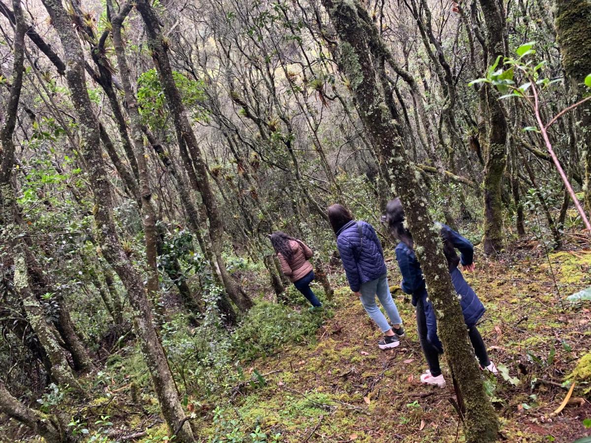 Mirador Bosque Gran Torino Neusa Cogua Bagian luar foto